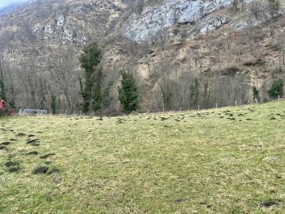 Terrain constructible - 1 689 m²