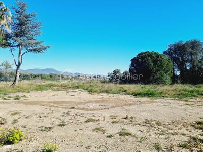 Terrain constructible - 1 466 m²