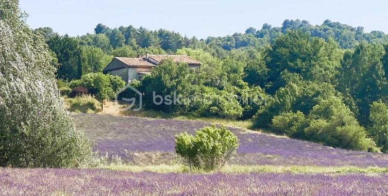 Mas - 427 m² - 12 pièces