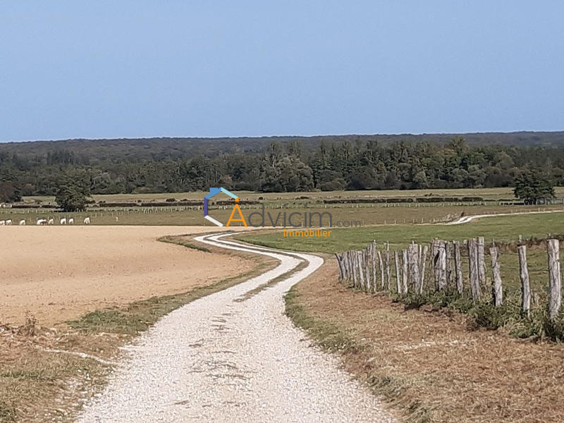 Villa - 142 m² - 7 pièces