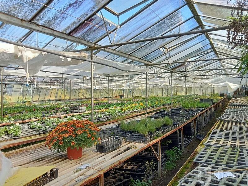 Fonds de commerce - Bureau - 3 000 m²