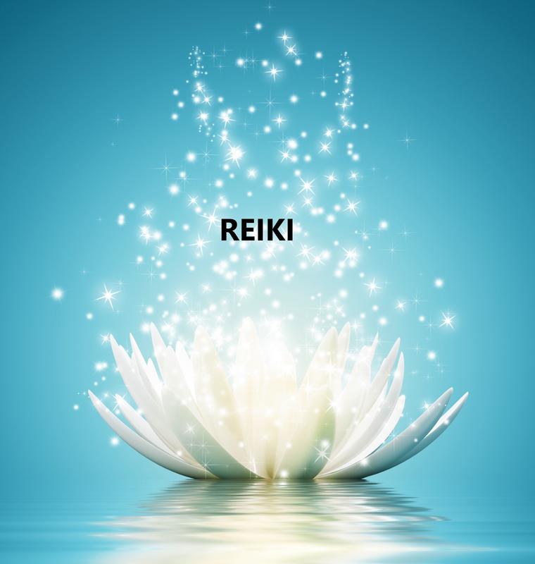 liscial - Guillaume Mazé