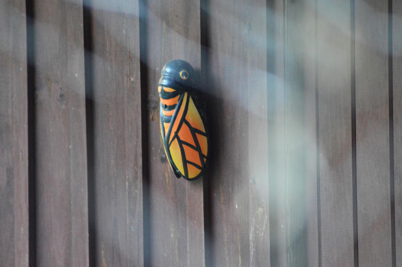 Maison - 127 m² - 5 pièces