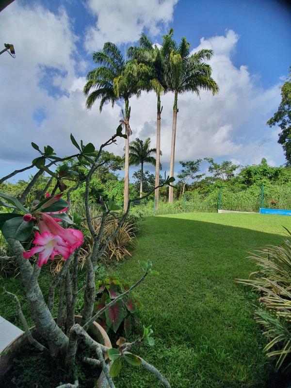 Villa - 280 m² - 6 pièces