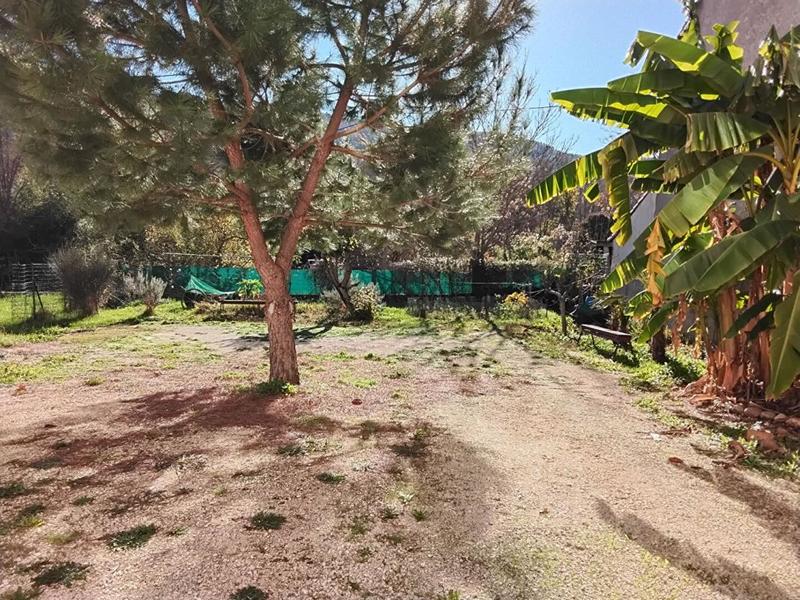 Maison - 265 m² - 10 pièces