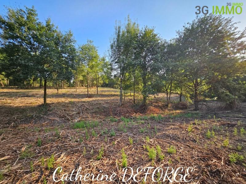 Maison - 145 m² - 10 pièces