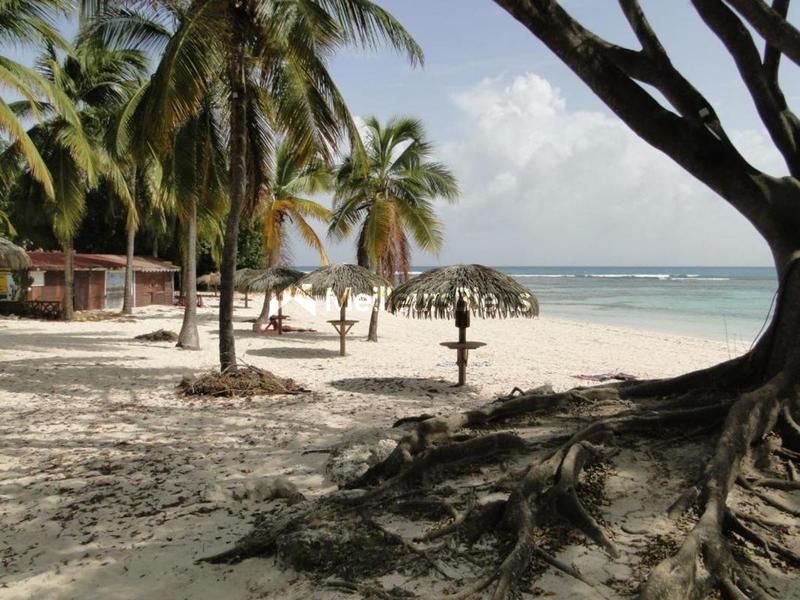 Appartement - 29 m² - 1 pièce