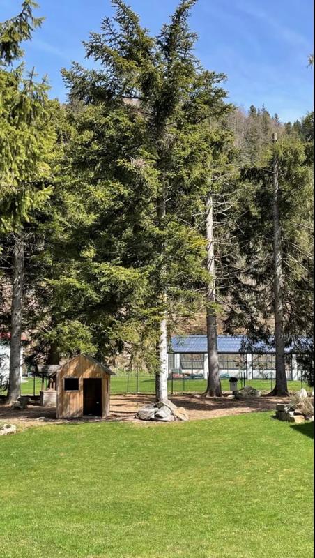 Maison - 50 m² - 6 pièces