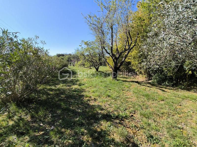 Propriété - 203 m² - 8 pièces