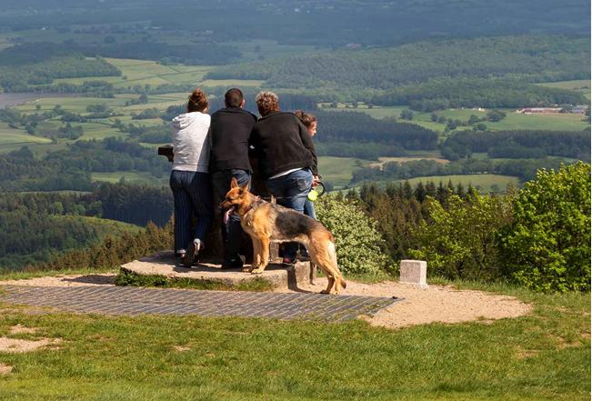 Toutou't'à pied : une balade qui a du chien à Bibracte !