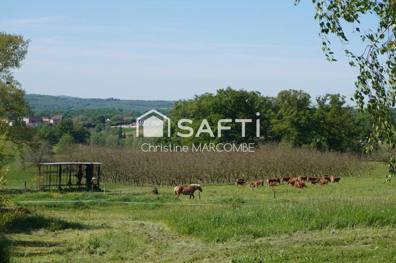 Maison - 560 m² - 17 pièces