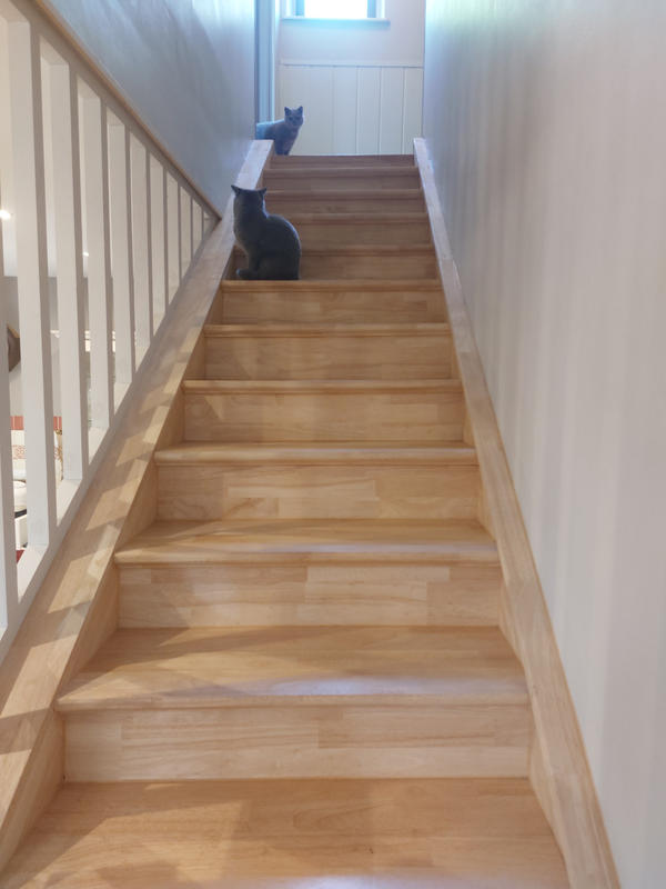 Maison - 240 m² - 7 pièces