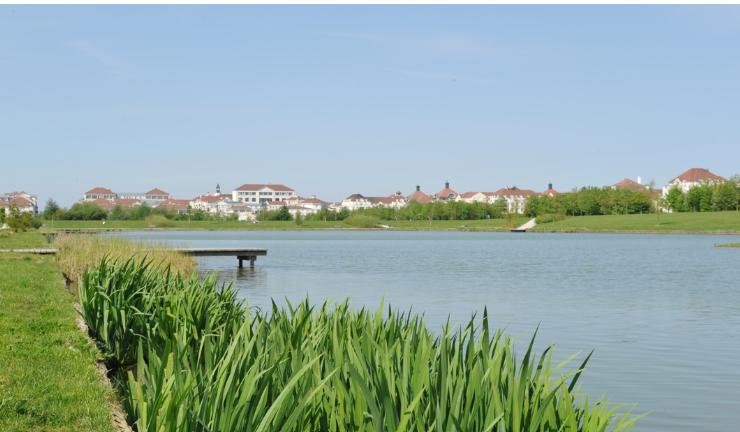 Appartement - 31 m² - 1 pièce