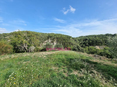 Terrain agricole - 1 786 m²