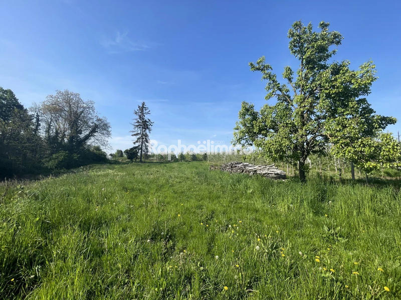 Ferme - 215 m² - 2 pièces