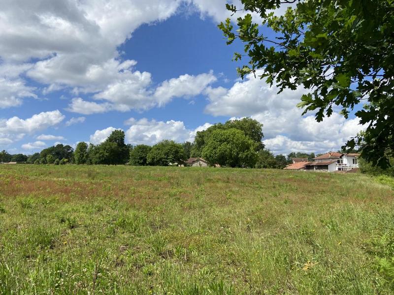 Terrain constructible - 747 m²
