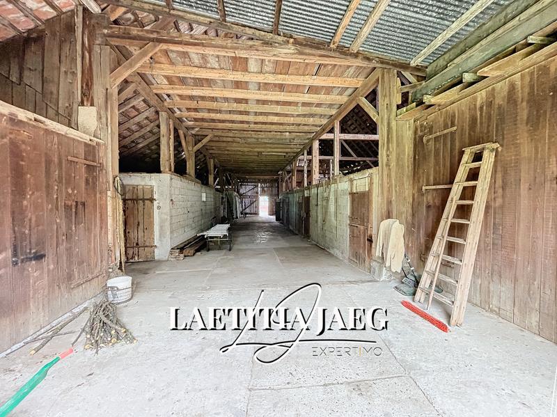 Maison - 650 m² - 1 pièce