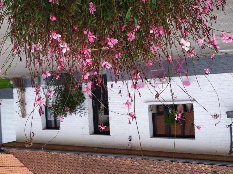 Maison - 262 m² - 12 pièces