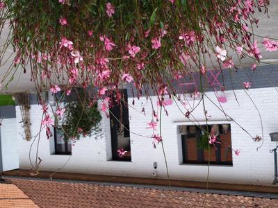 Maison - 262 m² - 12 pièces