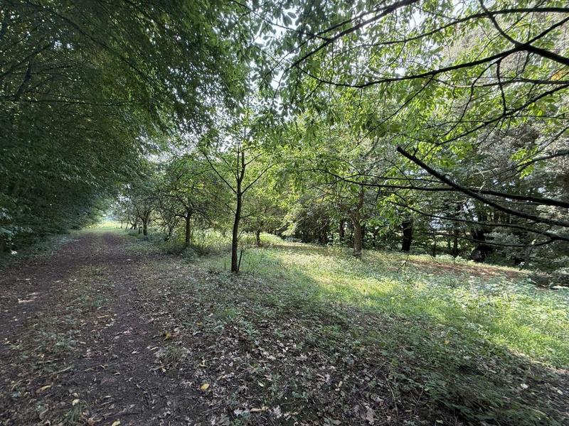 Maison - 143 m² - 5 pièces