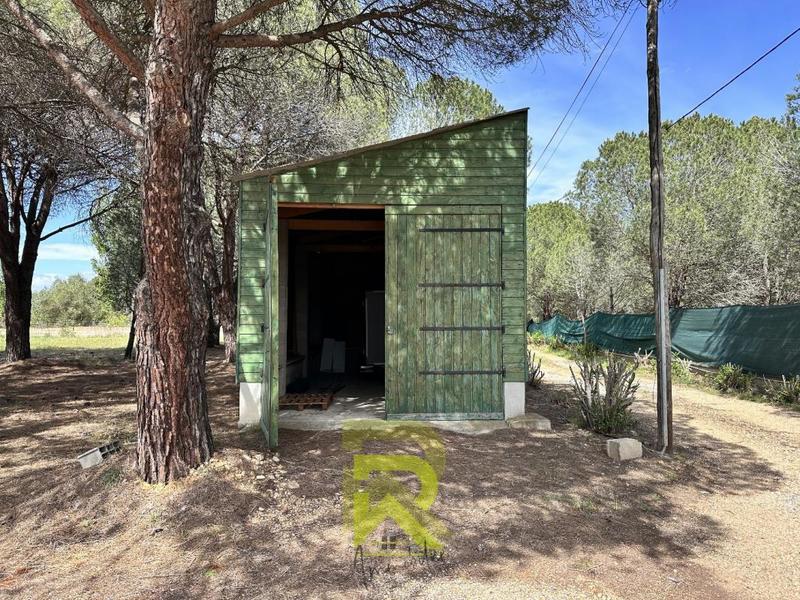 Propriété - 195 m² - 8 pièces