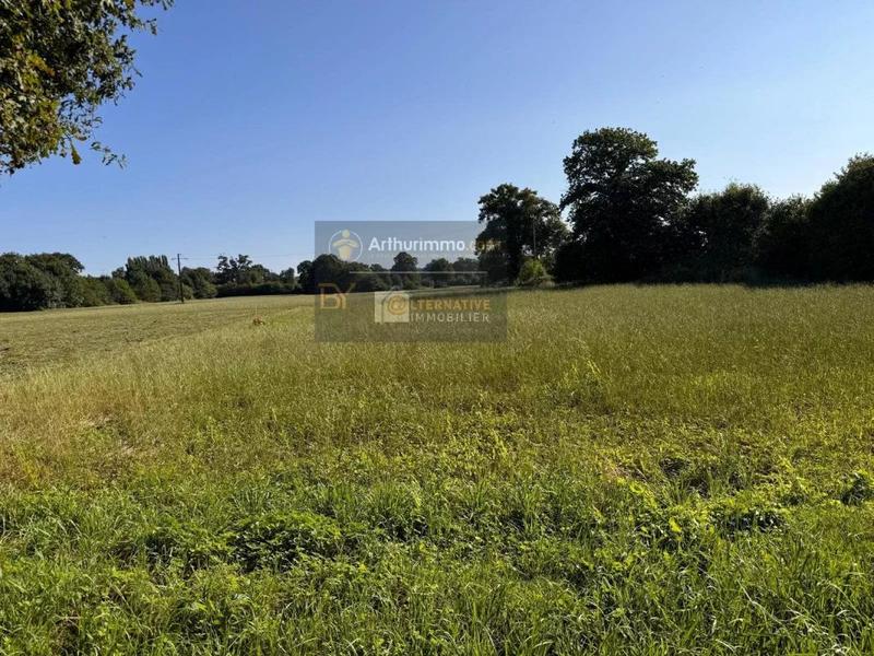 Terrain constructible - 2 767 m²