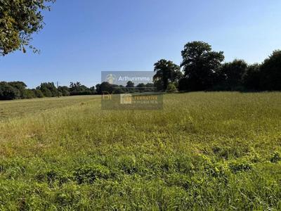 Terrain constructible - 2 767 m²