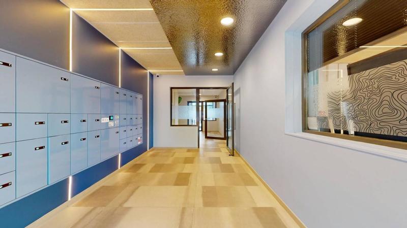 Studio - 19 m² - 1 pièce