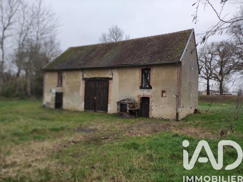 Terrain - 12 000 m²