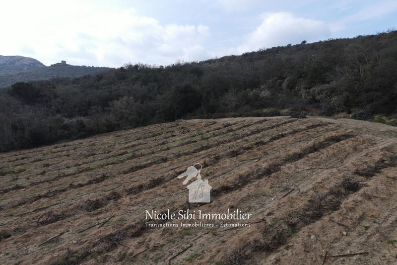 Terrain agricole - 7 897 m²