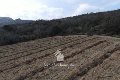 Terrain agricole - 7 897 m²