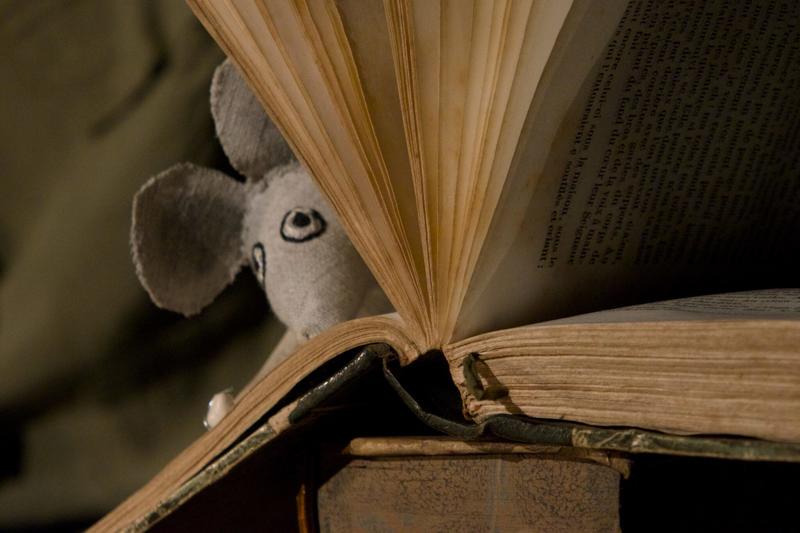 Spectacle &quot;Ata les voyages infinis&quot;