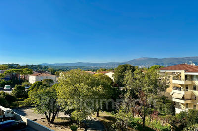 Appartement - 29 m² - 1 pièce