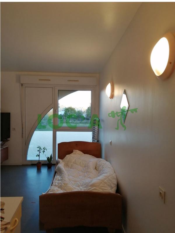 Studio - 19 m² - 1 pièce