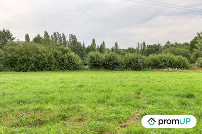 Terrain de loisirs - 874 m²