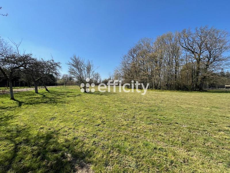 Longère - 250 m² - 8 pièces