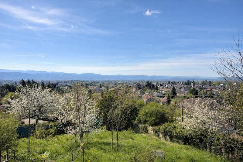 Maison de maîtres - 242 m² - 7 pièces