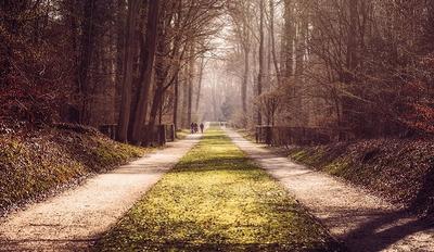 Rando-Balade en Commune rurale