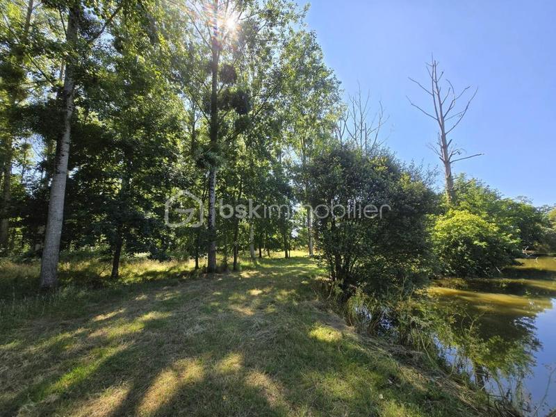 Terrain de loisirs - 45 907 m²