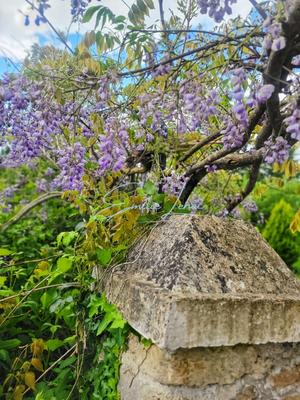 Longère - 175 m² - 7 pièces