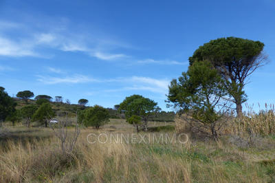 Terrain agricole - 12 250 m²