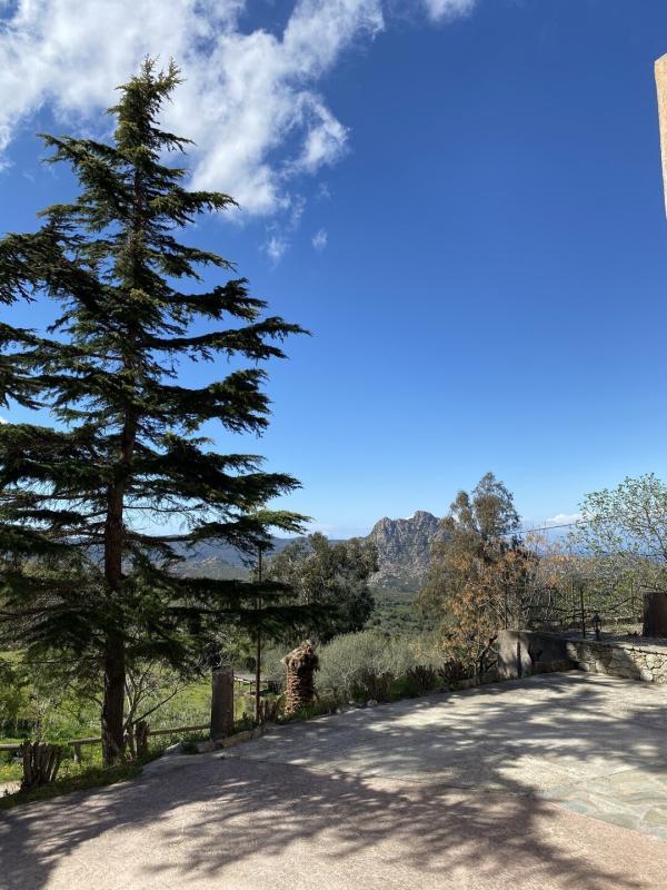 Fonds de commerce - 500 m²