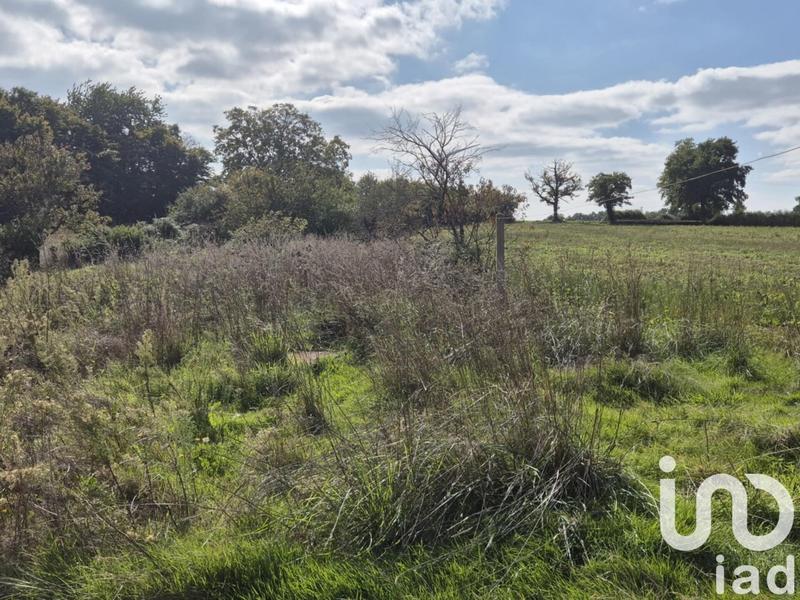 Maison de campagne - 76 m² - 4 pièces