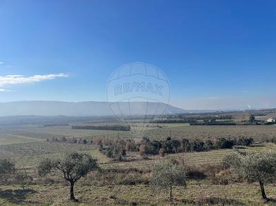 Maison - 250 m² - 8 pièces