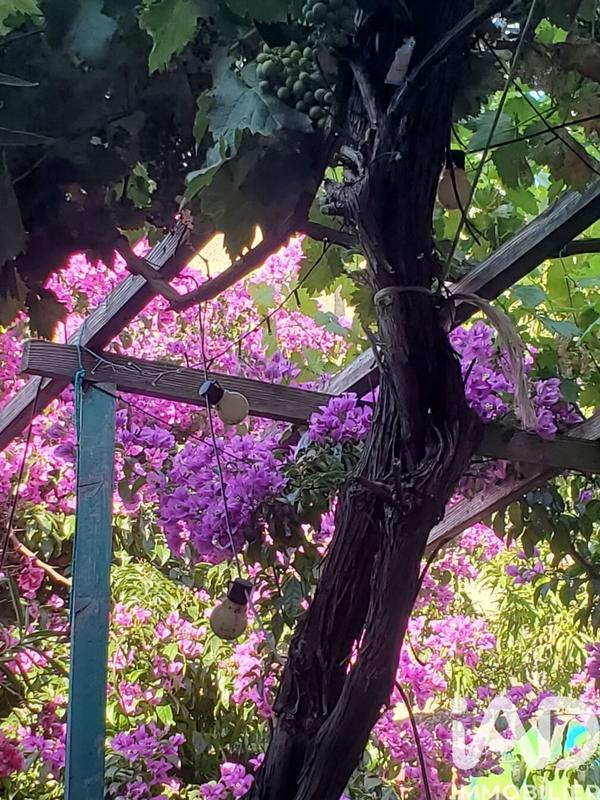 Maison - 122 m² - 4 pièces