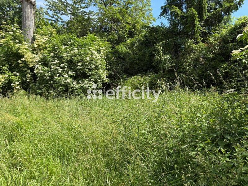 Maison - 150 m² - 8 pièces