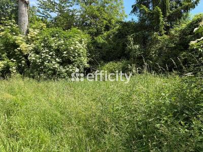 Maison - 150 m² - 8 pièces