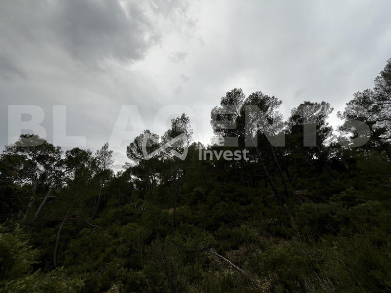 Terrain - 14 680 m²