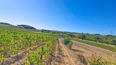 Terrain agricole - 100 000 m²