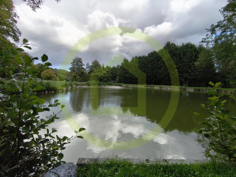 Terrain - 24 375 m²